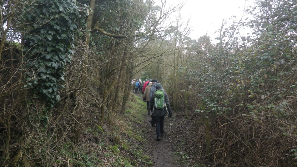 2017-02-15 30 Outney Common and Bungay.jpg