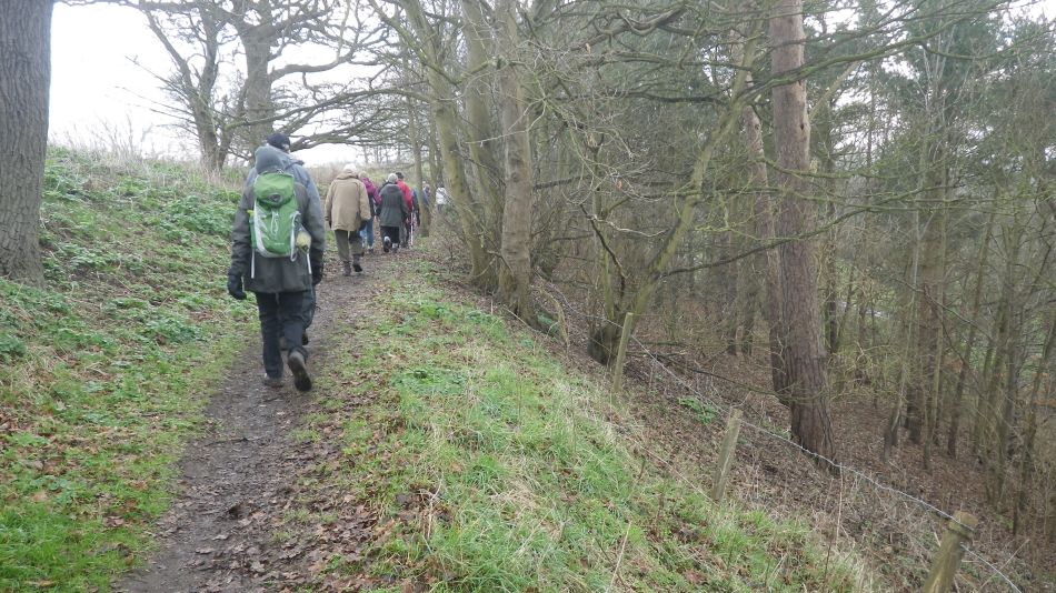 2017-02-15 31 Outney Common and Bungay.jpg