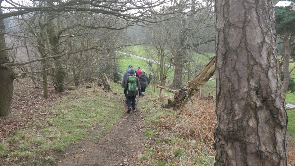 2017-02-15 32 Outney Common and Bungay.jpg