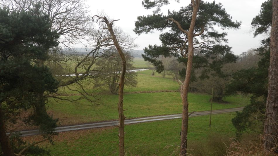 2017-02-15 33 Outney Common and Bungay.jpg