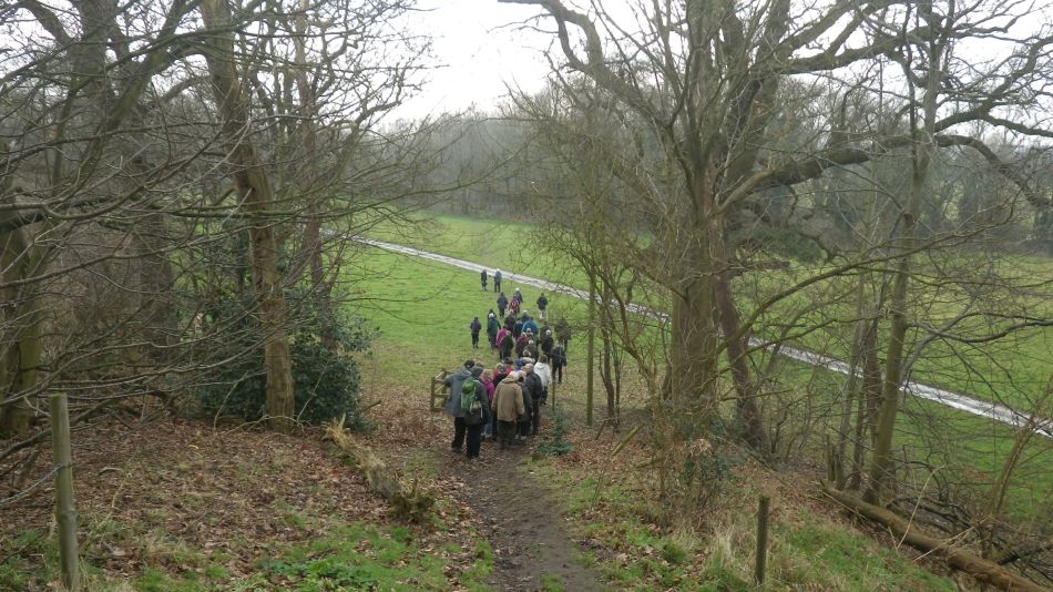 2017-02-15 34 Outney Common and Bungay.jpg