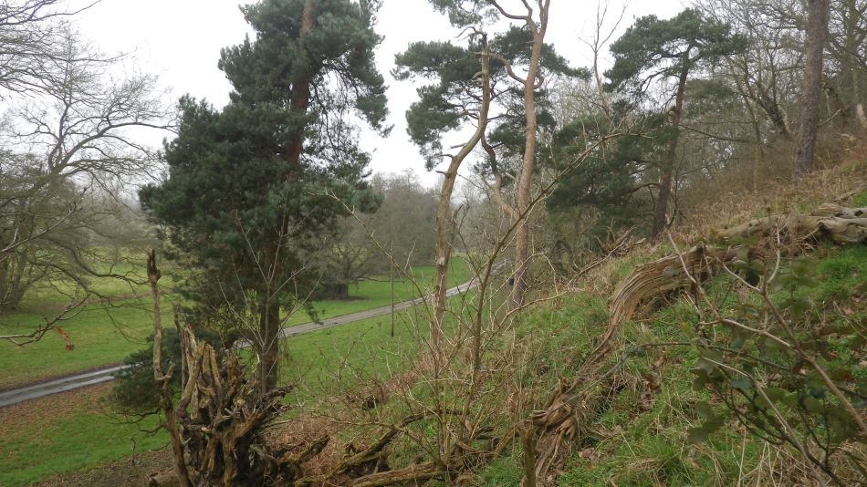 2017-02-15 35 Outney Common and Bungay.jpg