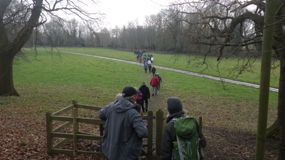 2017-02-15 36 Outney Common and Bungay.jpg