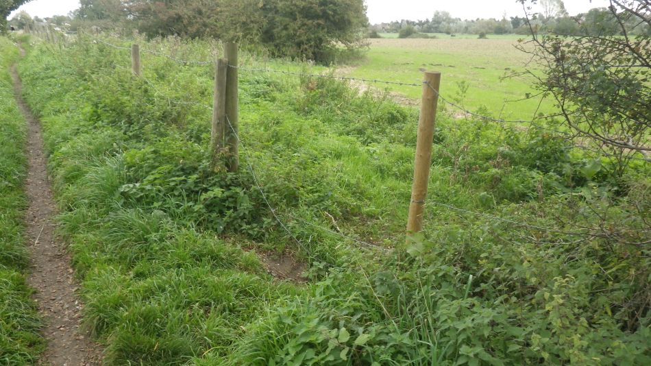 2017-10-04 03 Bath Hills and Outney Common.jpg