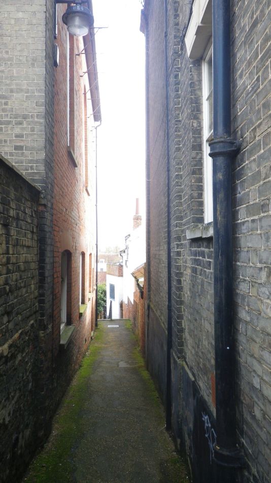 2018-04-04 06 Outney Flood.jpg