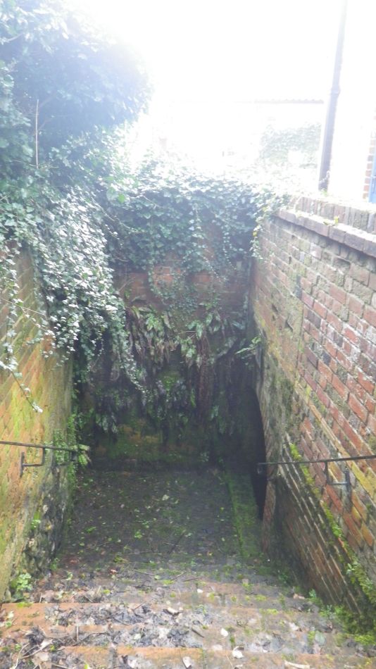 2018-04-04 08 Outney Flood.jpg