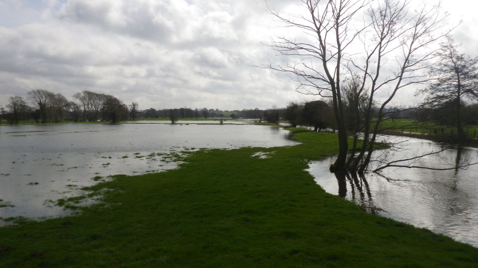 2018-04-04 14 Outney Flood.jpg