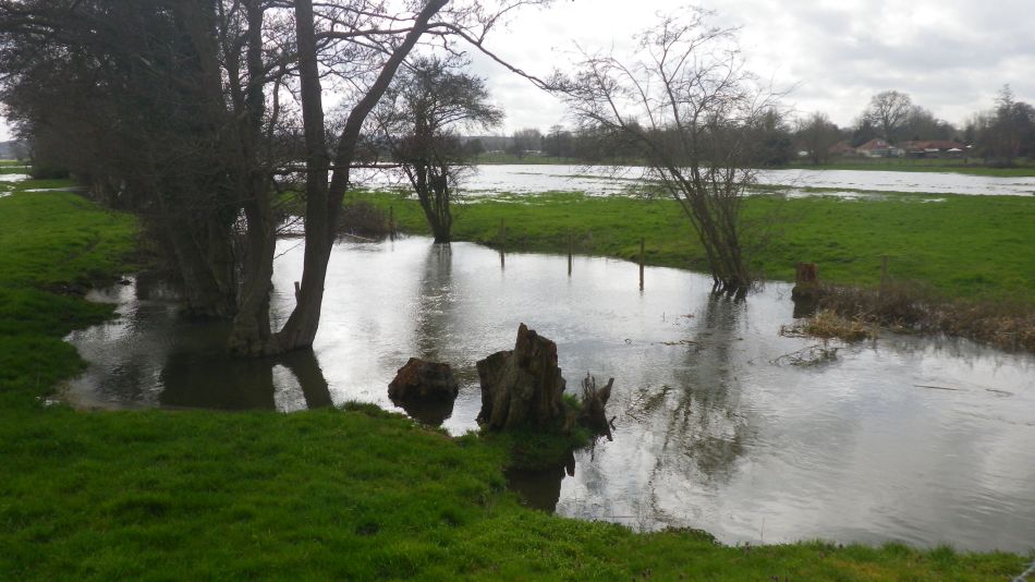2018-04-04 15 Outney Flood.jpg
