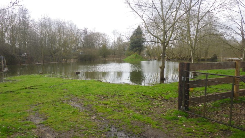 2018-04-04 19 Outney Flood.jpg