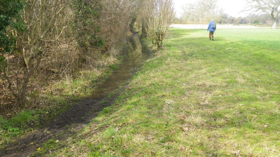 2018-04-04 27 Outney Flood.jpg