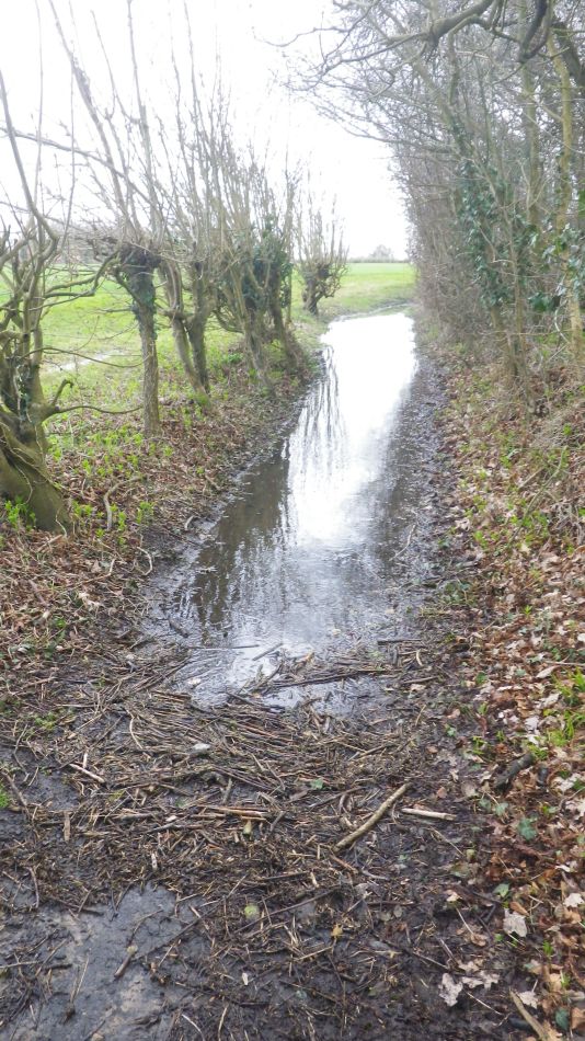 2018-04-04 28 Outney Flood.jpg