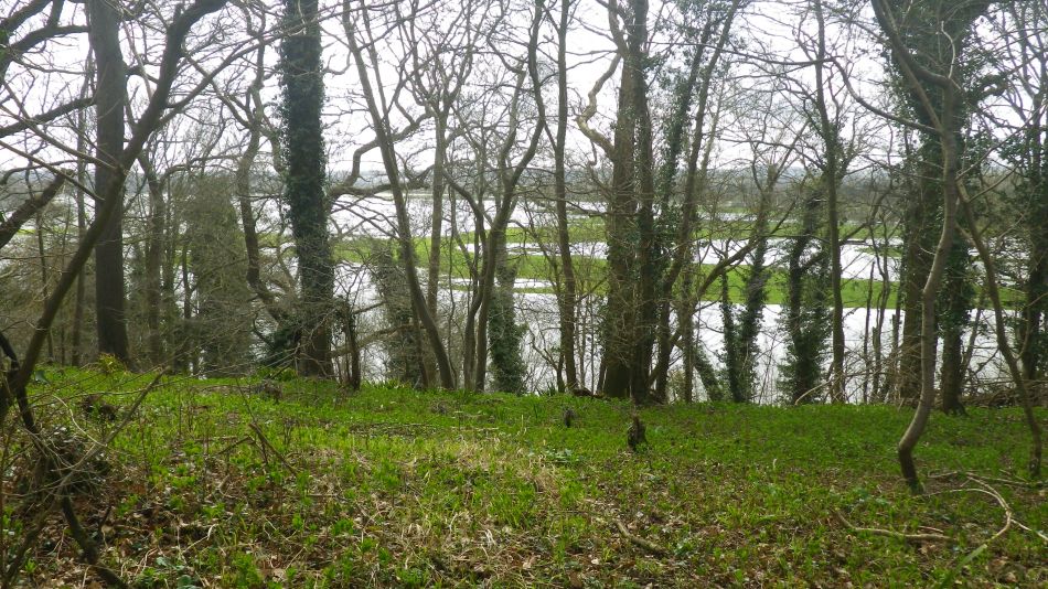 2018-04-04 29 Outney Flood.jpg