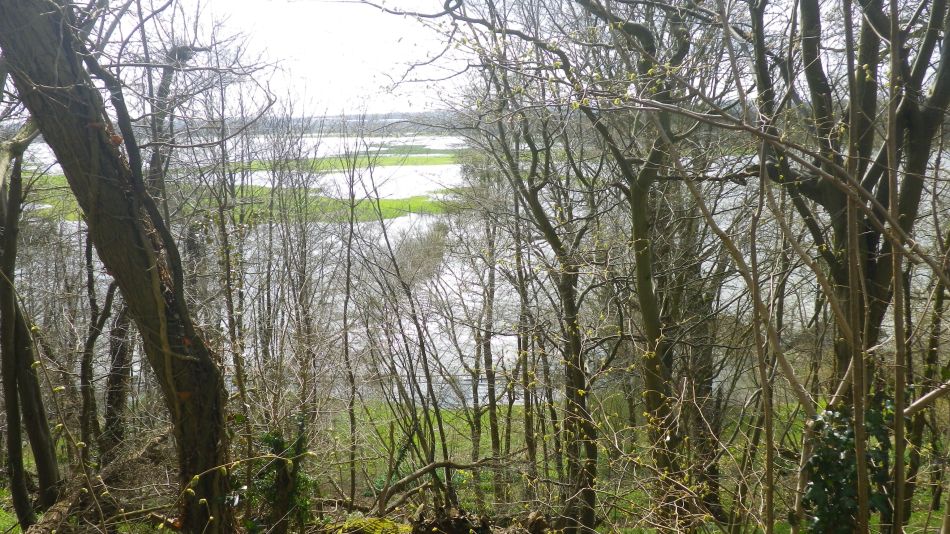 2018-04-04 30 Outney Flood.jpg