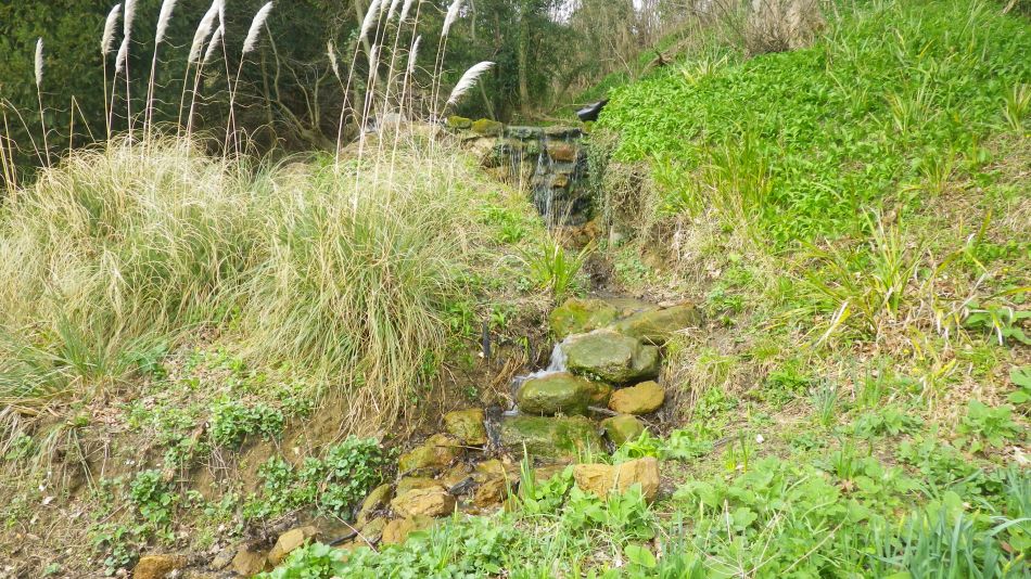 2018-04-04 33 Outney Flood.jpg