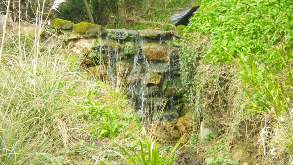 2018-04-04 34 Outney Flood.jpg