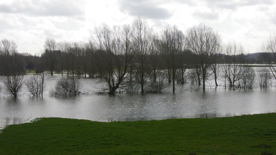 2018-04-04 38 Outney Flood.jpg