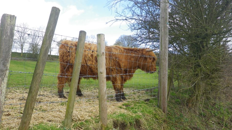 2018-04-04 39 Outney Flood.jpg