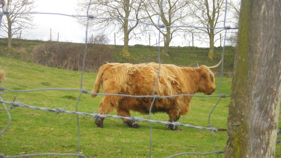 2018-04-04 40 Outney Flood.jpg