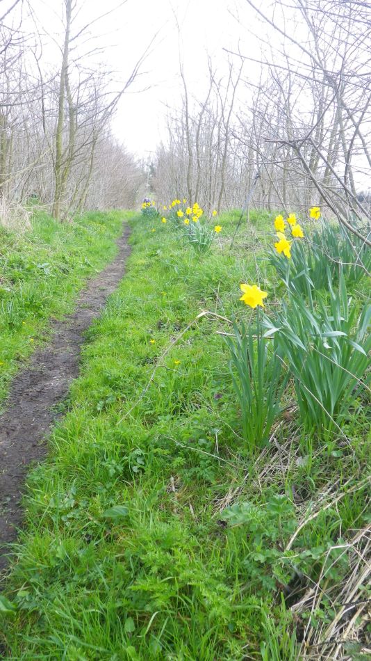 2018-04-04 41 Outney Flood.jpg