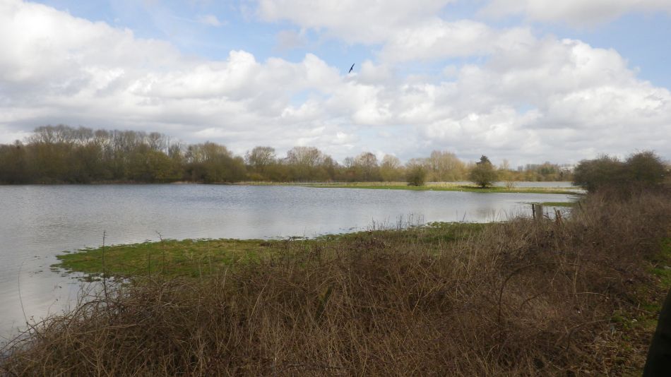 2018-04-04 42 Outney Flood.jpg