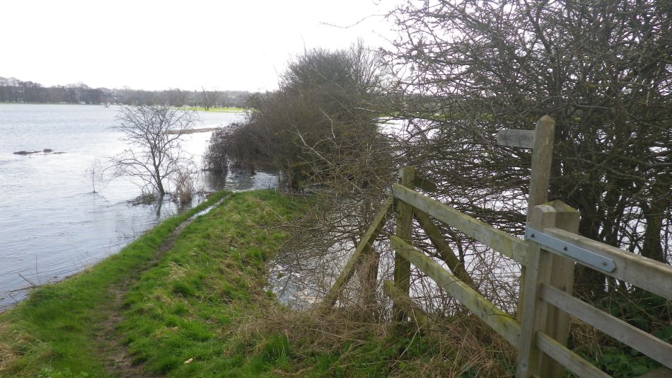 2018-04-04 43 Outney Flood.jpg