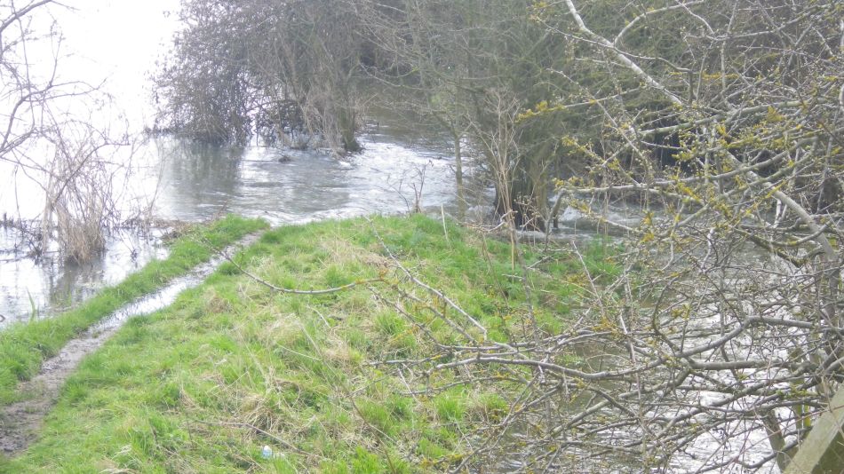 2018-04-04 44 Outney Flood.jpg