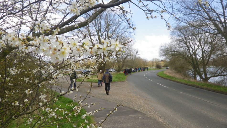 2018-04-04 45 Outney Flood.jpg