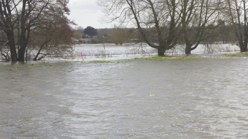 2018-04-04 46 Outney Flood.jpg