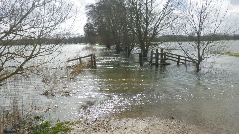 2018-04-04 47 Outney Flood.jpg