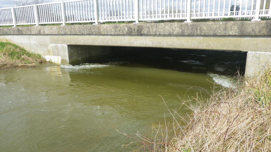 2018-04-04 48 Outney Flood.jpg