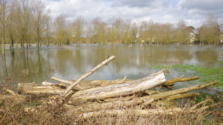 2018-04-04 49 Outney Flood.jpg