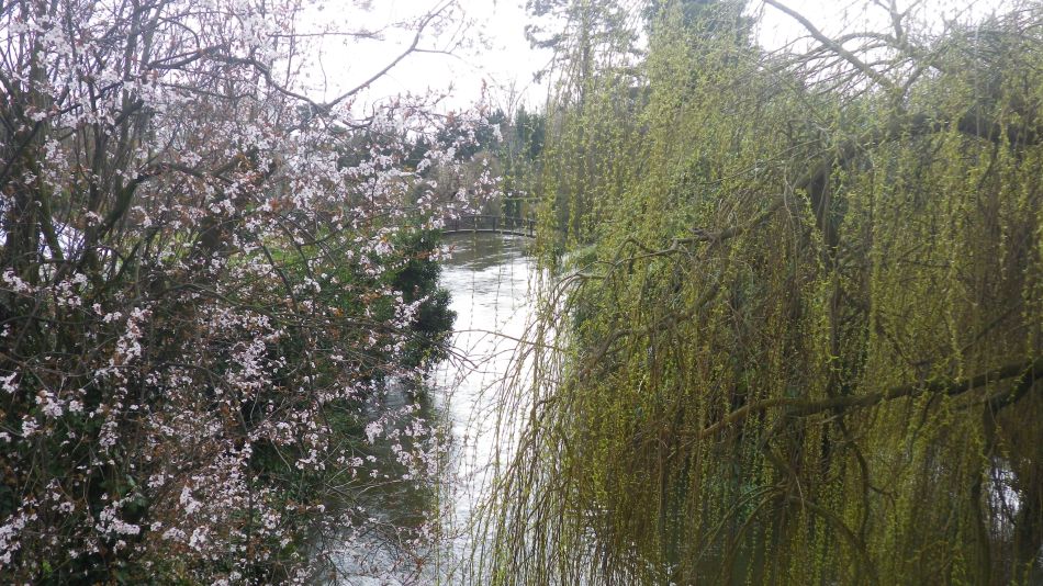 2018-04-04 52 Outney Flood.jpg