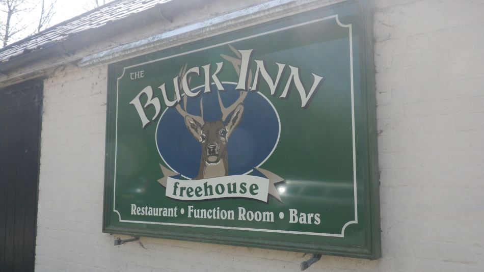 2018-04-22 06 Dragon Buck Swan and Queen.jpg