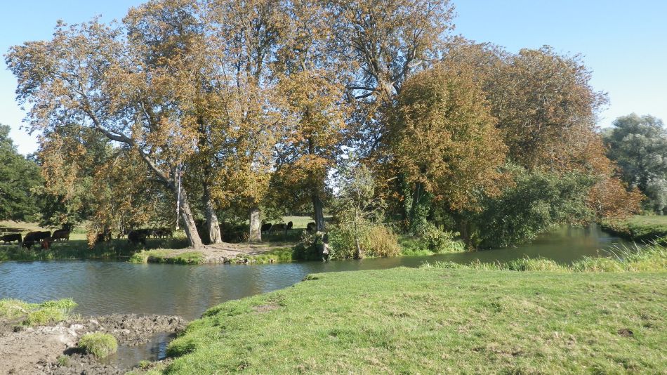 2018-09-21 01 Inner Outney.jpg