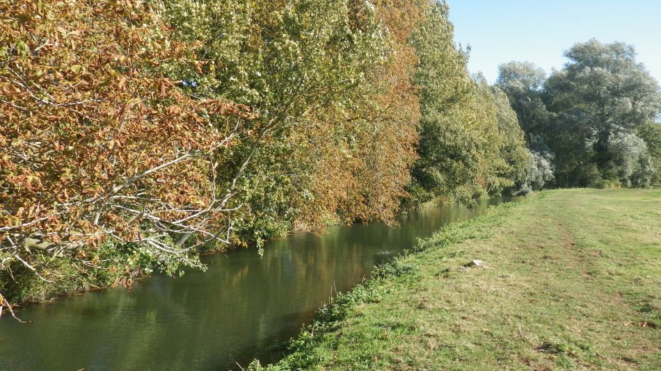 2018-09-21 02 Inner Outney.jpg