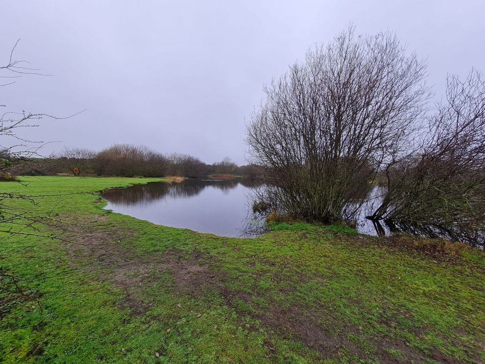 2020-12-09 01 Outney Common Pond.jpg