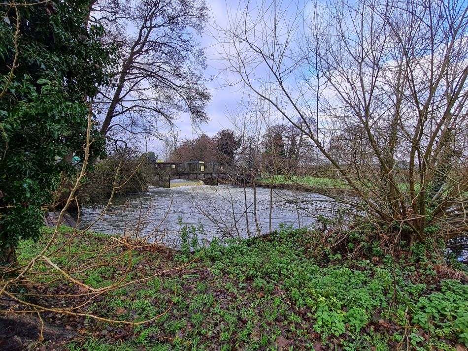2020-12-09 15 Earsham Bridge and Falcon Meadow.jpg