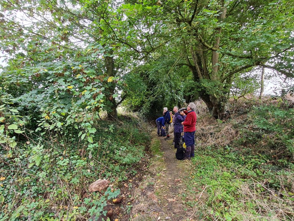 2021-10-17 05 Bungay and St Margaret.jpg