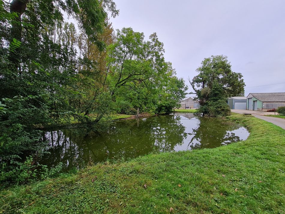 2021-10-17 08 Bungay and St Margaret.jpg