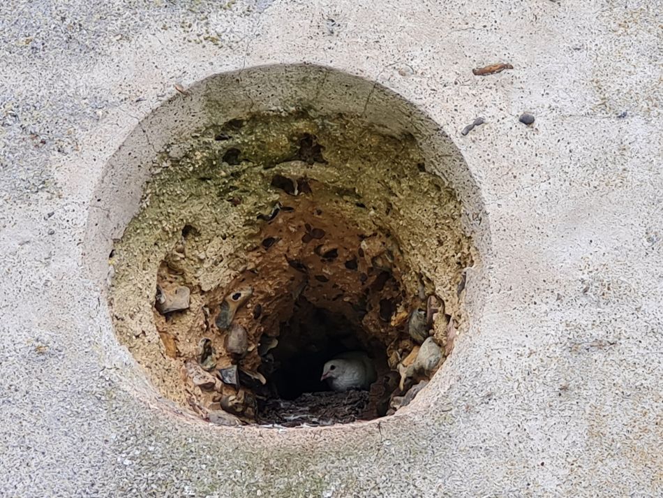 2021-10-17 17 Bungay and St Margaret.jpg