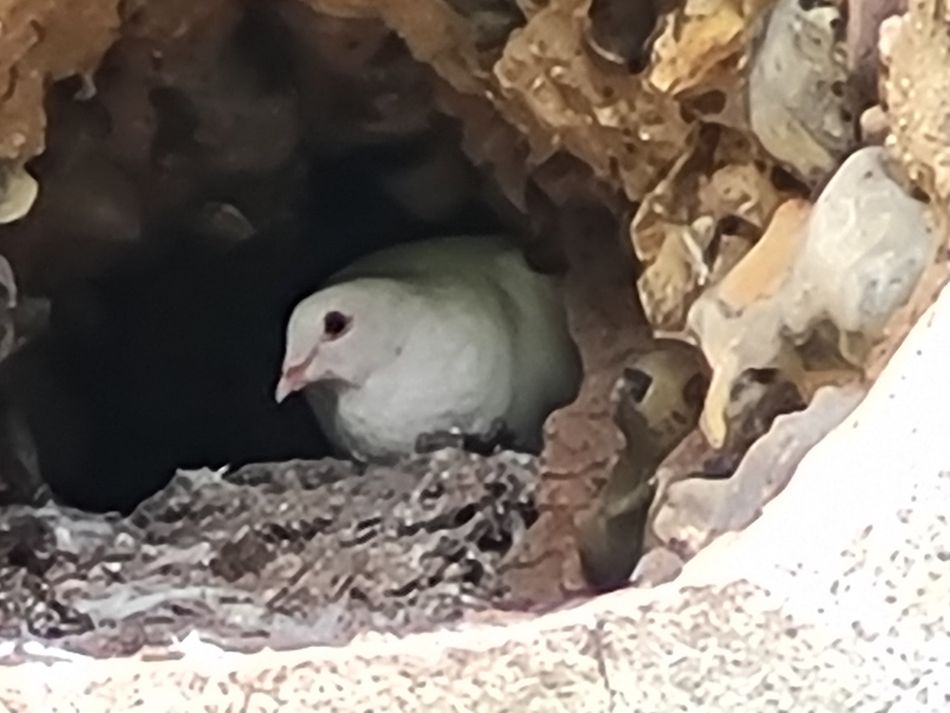 2021-10-17 18 Bungay and St Margaret.jpg