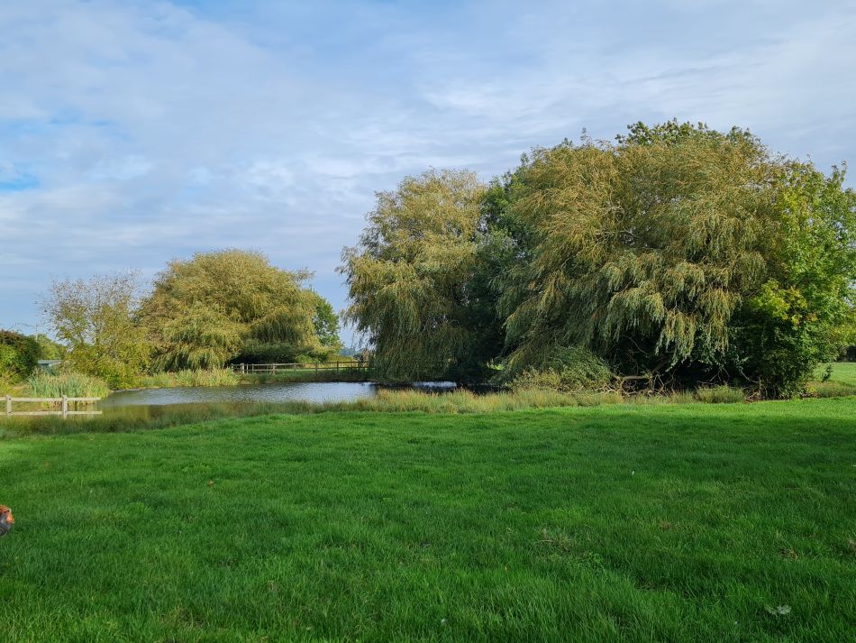 2021-10-17 20 Bungay and St Margaret.jpg