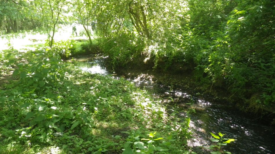 2017-06-15 10 Hethel.jpg