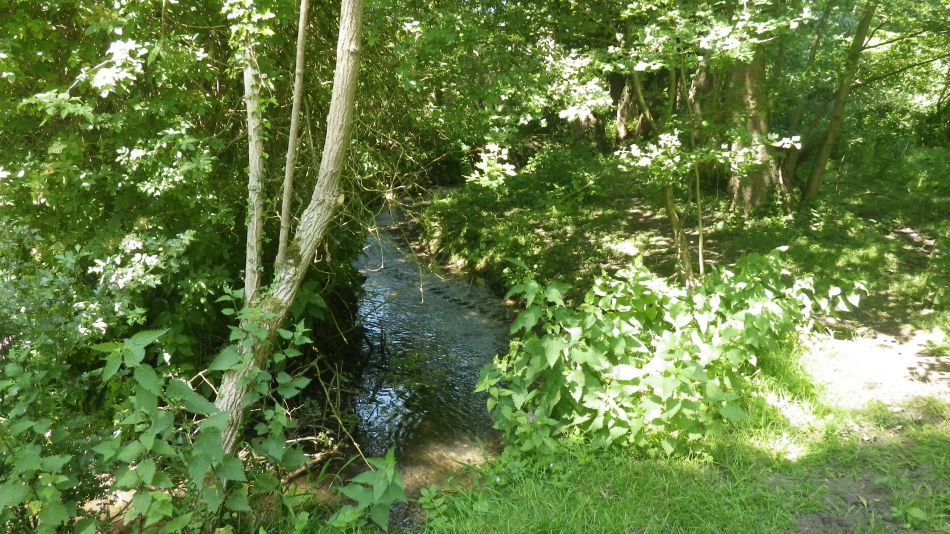 2017-06-15 11 Hethel.jpg