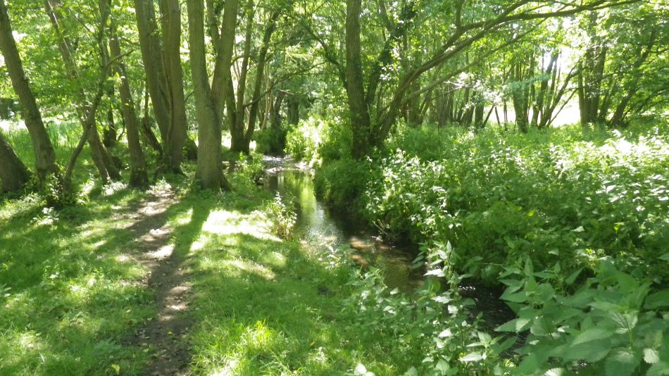 2017-06-15 12 Hethel.jpg