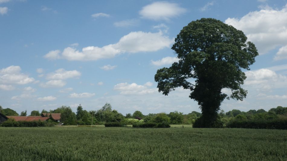 2017-06-15 18 Hethel.jpg