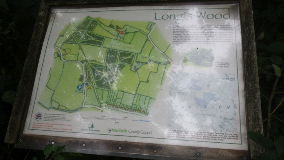 2019-08-17 02 Wreninghan Ashwellthorpe.jpg