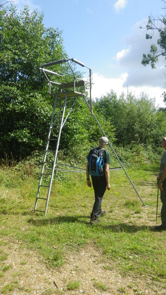 2019-08-17 04 Wreninghan Ashwellthorpe.jpg