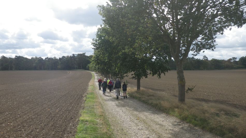 2018-10-02 05 Ditchingham and Broome.jpg