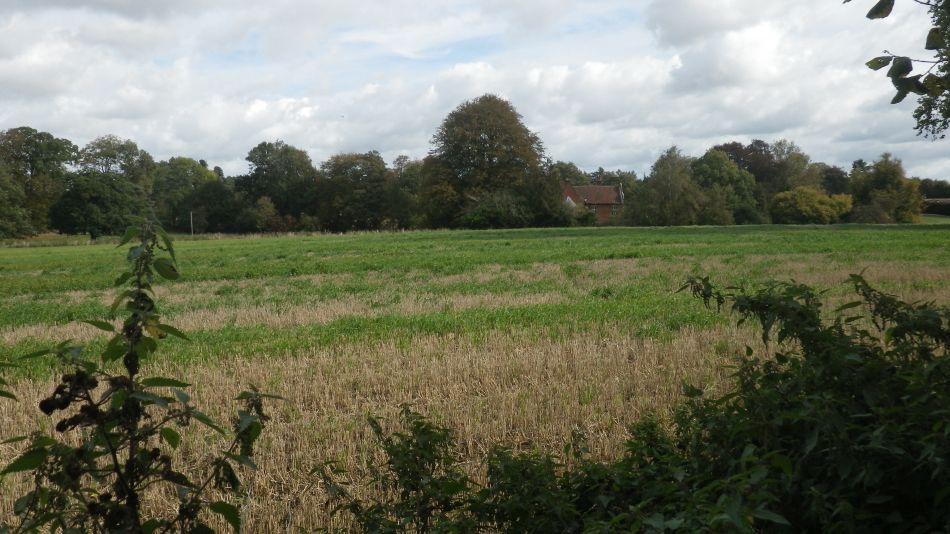 2018-10-02 07 Ditchingham and Broome.jpg